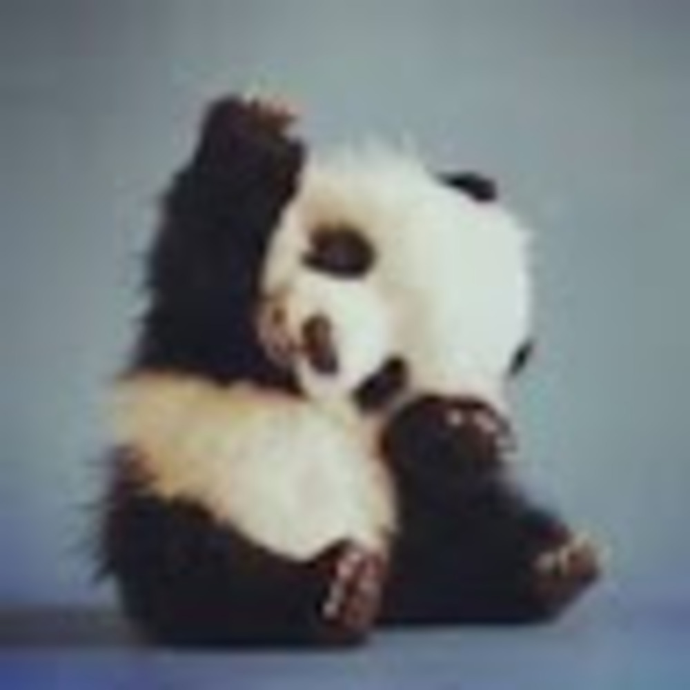 Meet your Posher, Dru